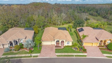 Experience unparalleled luxury in this exquisite estate on Stoneybrook Golf Club At Heritage Harbour in Florida - for sale on GolfHomes.com, golf home, golf lot