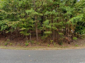 Fantastic Building site for your forever home in Diamante's on Diamante Golf and Country Club in Arkansas - for sale on GolfHomes.com, golf home, golf lot