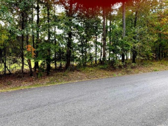 Fantastic Building site for your forever home in Diamante's on Diamante Golf and Country Club in Arkansas - for sale on GolfHomes.com, golf home, golf lot