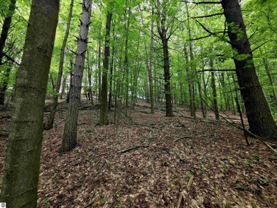 Nicely mature, wooded 1.07 acre lot in a quiet subdivision on A-Ga-Ming Golf Resort in Michigan - for sale on GolfHomes.com, golf home, golf lot
