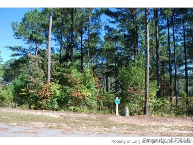 This great home site is located on a nature reserve with a view on Anderson Creek Golf Club in North Carolina - for sale on GolfHomes.com, golf home, golf lot