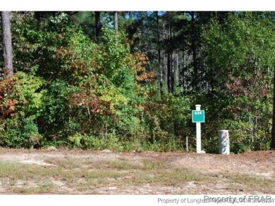 This great home site is located on a nature reserve with a view on Anderson Creek Golf Club in North Carolina - for sale on GolfHomes.com, golf home, golf lot