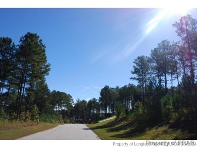 This great home site is located on a nature reserve with a view on Anderson Creek Golf Club in North Carolina - for sale on GolfHomes.com, golf home, golf lot