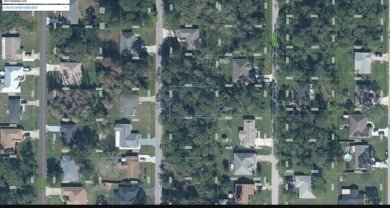 Great vacant lot in Sun N Lakes with water and sewer available! on Sun n Lake Golf and Country Club in Florida - for sale on GolfHomes.com, golf home, golf lot