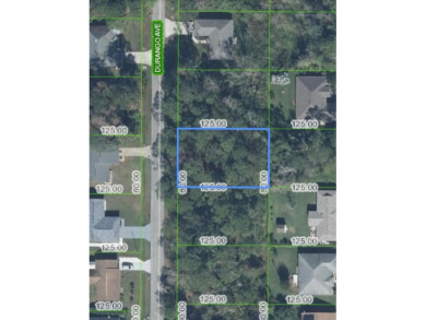 Great vacant lot in Sun N Lakes with water and sewer available! on Sun n Lake Golf and Country Club in Florida - for sale on GolfHomes.com, golf home, golf lot