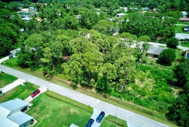 Great vacant lot in Sun N Lakes with water and sewer available! on Sun n Lake Golf and Country Club in Florida - for sale on GolfHomes.com, golf home, golf lot