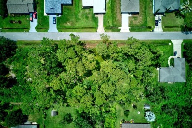 Great vacant lot in Sun N Lakes with water and sewer available! on Sun n Lake Golf and Country Club in Florida - for sale on GolfHomes.com, golf home, golf lot