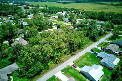Great vacant lot in Sun N Lakes with water and sewer available! on Sun n Lake Golf and Country Club in Florida - for sale on GolfHomes.com, golf home, golf lot