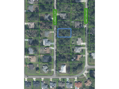 Great vacant lot in Sun N Lakes with water and sewer available! on Sun n Lake Golf and Country Club in Florida - for sale on GolfHomes.com, golf home, golf lot