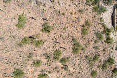 Outstanding 3.72-acre view lot in the prestigious Summit at on Silverleaf Golf Club in Arizona - for sale on GolfHomes.com, golf home, golf lot