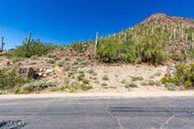 Outstanding 3.72-acre view lot in the prestigious Summit at on Silverleaf Golf Club in Arizona - for sale on GolfHomes.com, golf home, golf lot