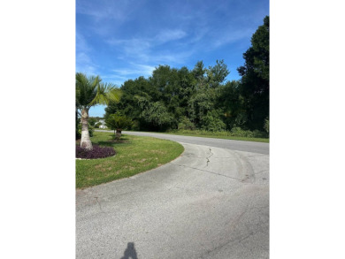 Welcome to Your Spacious Corner Lot Retreat with Bonus Room & on Schalamar Creek Golf and Country Club in Florida - for sale on GolfHomes.com, golf home, golf lot