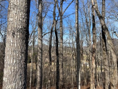 This beautifully wooded .72 acre lot is located in the gated on Chatuge Shores Golf Course in North Carolina - for sale on GolfHomes.com, golf home, golf lot