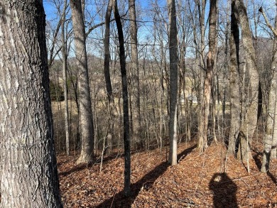 This beautifully wooded .72 acre lot is located in the gated on Chatuge Shores Golf Course in North Carolina - for sale on GolfHomes.com, golf home, golf lot