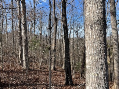 This beautifully wooded .72 acre lot is located in the gated on Chatuge Shores Golf Course in North Carolina - for sale on GolfHomes.com, golf home, golf lot