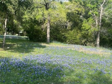 Watch the deer walk the ridge behind your .67 acre lot in White on White Bluff Resort - Old Course in Texas - for sale on GolfHomes.com, golf home, golf lot