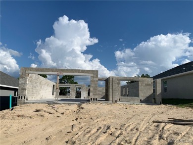 BRAND-NEW QUALITY BUILT 3BED, 2BATH, 2CAR GARAGE HOME. This home on Twisted Oaks Golf Club in Florida - for sale on GolfHomes.com, golf home, golf lot