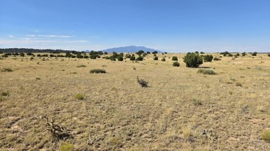 Hey, there, future landowner! Come see the amazing mountain on Walsenburg Golf Club in Colorado - for sale on GolfHomes.com, golf home, golf lot