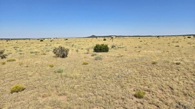 Hey, there, future landowner! Come see the amazing mountain on Walsenburg Golf Club in Colorado - for sale on GolfHomes.com, golf home, golf lot