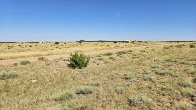Hey, there, future landowner! Come see the amazing mountain on Walsenburg Golf Club in Colorado - for sale on GolfHomes.com, golf home, golf lot