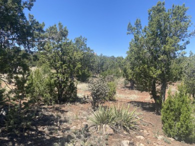 This property is a nature lover's dream come true. The mature on Paa-Ko Ridge Golf Club  in New Mexico - for sale on GolfHomes.com, golf home, golf lot