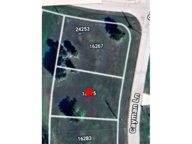 Gorgeous Lot in Upscale Burnt Store Lakes - Priced to Sell!

 on Burnt Store Golf Club in Florida - for sale on GolfHomes.com, golf home, golf lot