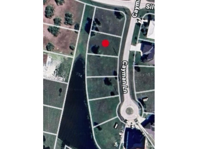 Gorgeous Lot in Upscale Burnt Store Lakes - Priced to Sell!

 on Burnt Store Golf Club in Florida - for sale on GolfHomes.com, golf home, golf lot
