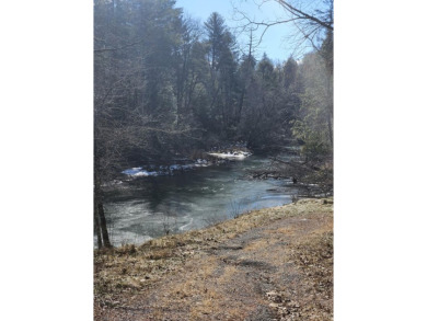 Nice wooded Double lot with immediate/walkable access to the on Lake Tansi Village Country Club in Tennessee - for sale on GolfHomes.com, golf home, golf lot