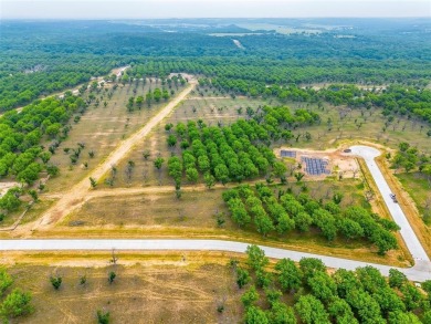 Howdy! Welcome to The Ranches neighborhood of Pecan Plantation on Pecan Plantation Country Club in Texas - for sale on GolfHomes.com, golf home, golf lot