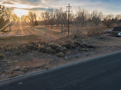 Imagine coming home to wide-open skies, mountain views, and the on Roosevelt Municipal Golf Course in Utah - for sale on GolfHomes.com, golf home, golf lot