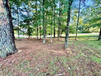 Build Your Dream Home in Grand Harbor - Golf Course Lot! on The Patriot Golf Club At Grand Harbor in South Carolina - for sale on GolfHomes.com, golf home, golf lot