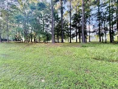 Build Your Dream Home in Grand Harbor - Golf Course Lot! on The Patriot Golf Club At Grand Harbor in South Carolina - for sale on GolfHomes.com, golf home, golf lot