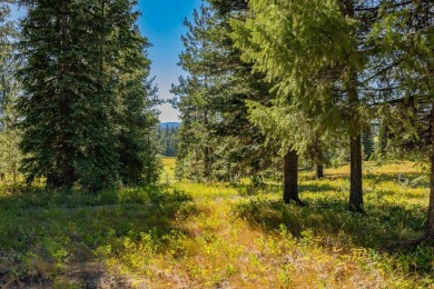 Active Lifestyle Meets Mountain Serenity  -  Jug Mountain Ranch on Jug Mountain Ranch Golf Course in Idaho - for sale on GolfHomes.com, golf home, golf lot