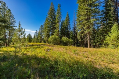 Active Lifestyle Meets Mountain Serenity  -  Jug Mountain Ranch on Jug Mountain Ranch Golf Course in Idaho - for sale on GolfHomes.com, golf home, golf lot