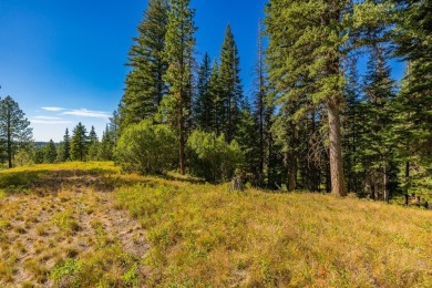 Active Lifestyle Meets Mountain Serenity  -  Jug Mountain Ranch on Jug Mountain Ranch Golf Course in Idaho - for sale on GolfHomes.com, golf home, golf lot