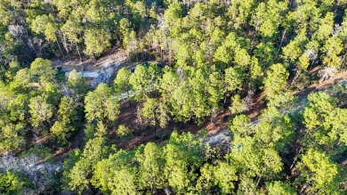 **Prime Rayburn Country Gem by Lake Sam Rayburn** Nestled in the on Rayburn Country Club in Texas - for sale on GolfHomes.com, golf home, golf lot