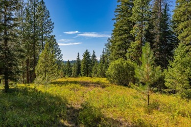 Active Lifestyle Meets Mountain Serenity  -  Jug Mountain Ranch on Jug Mountain Ranch Golf Course in Idaho - for sale on GolfHomes.com, golf home, golf lot