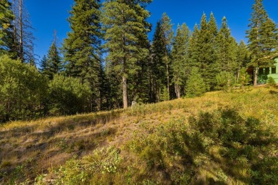 Active Lifestyle Meets Mountain Serenity  -  Jug Mountain Ranch on Jug Mountain Ranch Golf Course in Idaho - for sale on GolfHomes.com, golf home, golf lot