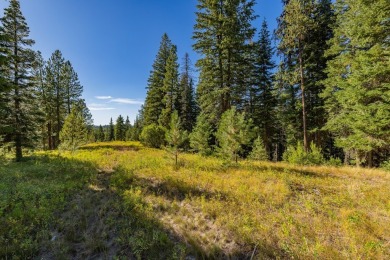 Active Lifestyle Meets Mountain Serenity  -  Jug Mountain Ranch on Jug Mountain Ranch Golf Course in Idaho - for sale on GolfHomes.com, golf home, golf lot