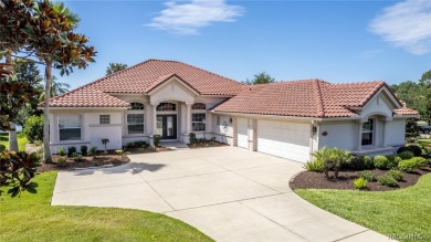 WHEN YOU WALK THROUGH THE FRONT DOOR OF THIS GORGEOUS HOME you on Skyview At Terra Vista Golf and Country Club in Florida - for sale on GolfHomes.com, golf home, golf lot