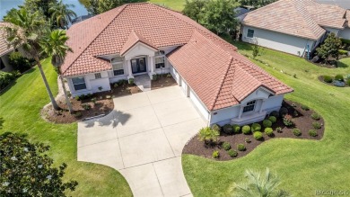 WHEN YOU WALK THROUGH THE FRONT DOOR OF THIS GORGEOUS HOME you on Skyview At Terra Vista Golf and Country Club in Florida - for sale on GolfHomes.com, golf home, golf lot