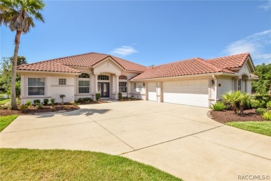 WHEN YOU WALK THROUGH THE FRONT DOOR OF THIS GORGEOUS HOME you on Skyview At Terra Vista Golf and Country Club in Florida - for sale on GolfHomes.com, golf home, golf lot