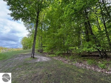 Go beyond the gated entrance, where a wooded winding drive on  in Michigan - for sale on GolfHomes.com, golf home, golf lot
