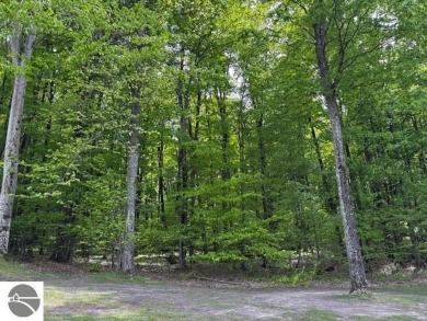 Go beyond the gated entrance, where a wooded winding drive on  in Michigan - for sale on GolfHomes.com, golf home, golf lot
