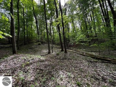 Go beyond the gated entrance, where a wooded winding drive on  in Michigan - for sale on GolfHomes.com, golf home, golf lot