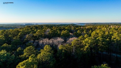 **Prime Rayburn Country Gem by Lake Sam Rayburn** Nestled in the on Rayburn Country Club in Texas - for sale on GolfHomes.com, golf home, golf lot