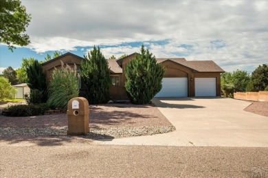 Golf course views of the 11th hole tee box to the south on Desert Hawk At Pueblo West in Colorado - for sale on GolfHomes.com, golf home, golf lot