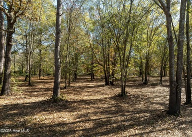 Come build your dream home on this one of a kind lot in River on River Landing Golf Course in North Carolina - for sale on GolfHomes.com, golf home, golf lot