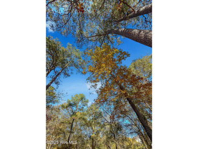 Come build your dream home on this one of a kind lot in River on River Landing Golf Course in North Carolina - for sale on GolfHomes.com, golf home, golf lot