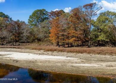 Come build your dream home on this one of a kind lot in River on River Landing Golf Course in North Carolina - for sale on GolfHomes.com, golf home, golf lot